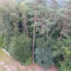 DJI 0552