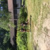 IMG 1546