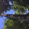 IMG 1547