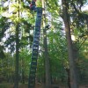 kistenklettern 90 gr
